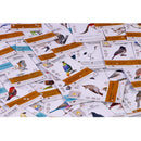 999 Games Wingspan uitbreiding: Azie Bordspel