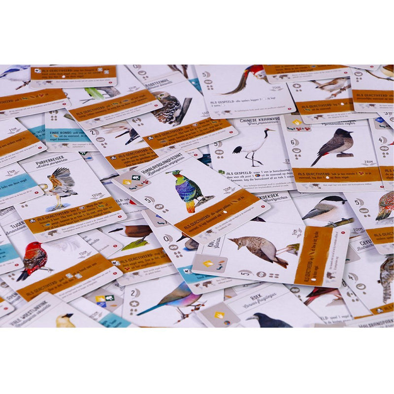 999 Games Wingspan uitbreiding: Azie Bordspel