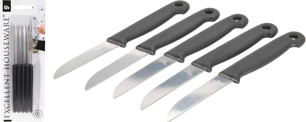 EH Schilmesjes RVS set van 5 stuks