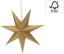 Ster Papier Goud, 60cm