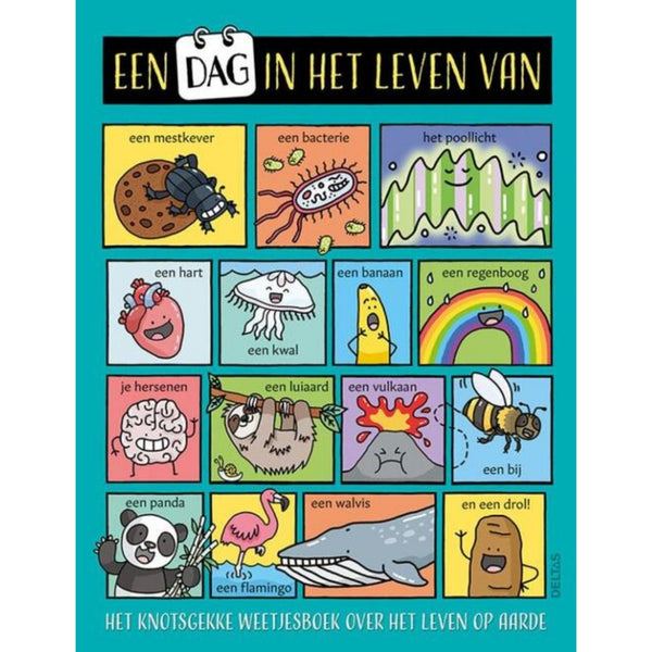 Deltas Weetjesboek Een Dag In Het Leven Van