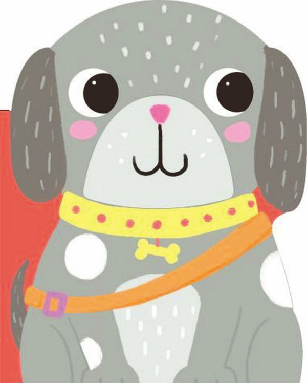 De Ballon Sanders avontuur kartonboek