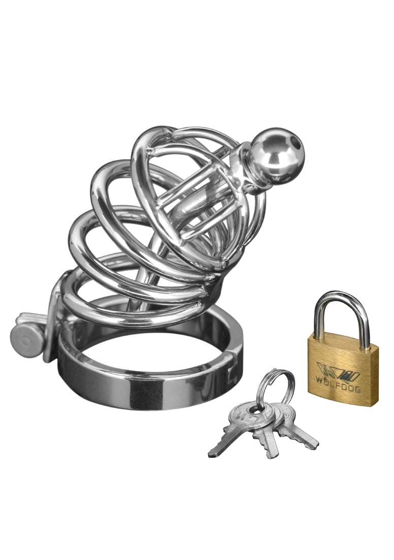 Asylum - Kuisheidskooi met 4 Ringen - S/M