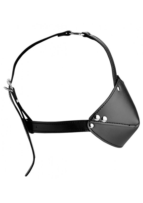 Mondharnas met ballgag