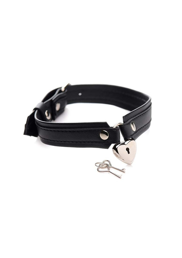 Vergrendelbare Hart Halsband