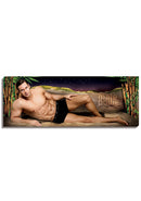 Mannelijke macht - Canvas - 36x13 - Bamboe