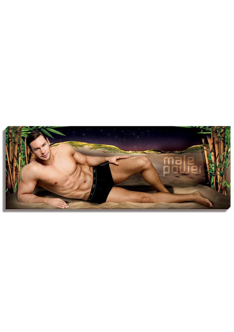 Mannelijke macht - Canvas - 36x13 - Bamboe