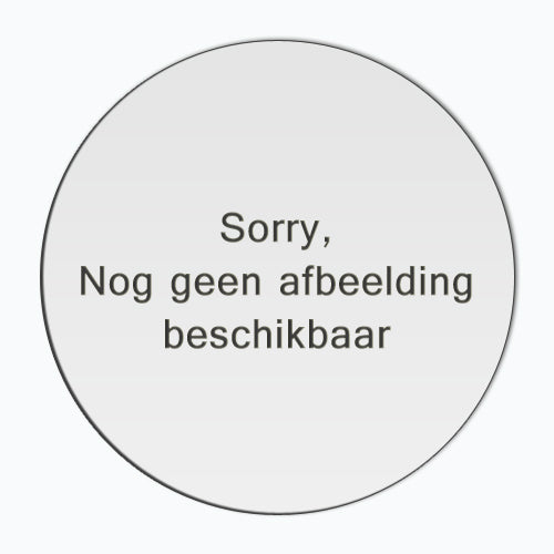 Sneeuwwitje speelplaat