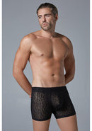 Luipaard Boxer - L/Xl