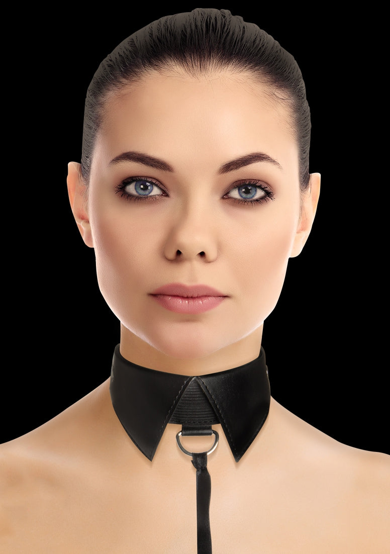 Klassieke Halsband met Leiband - Zwart