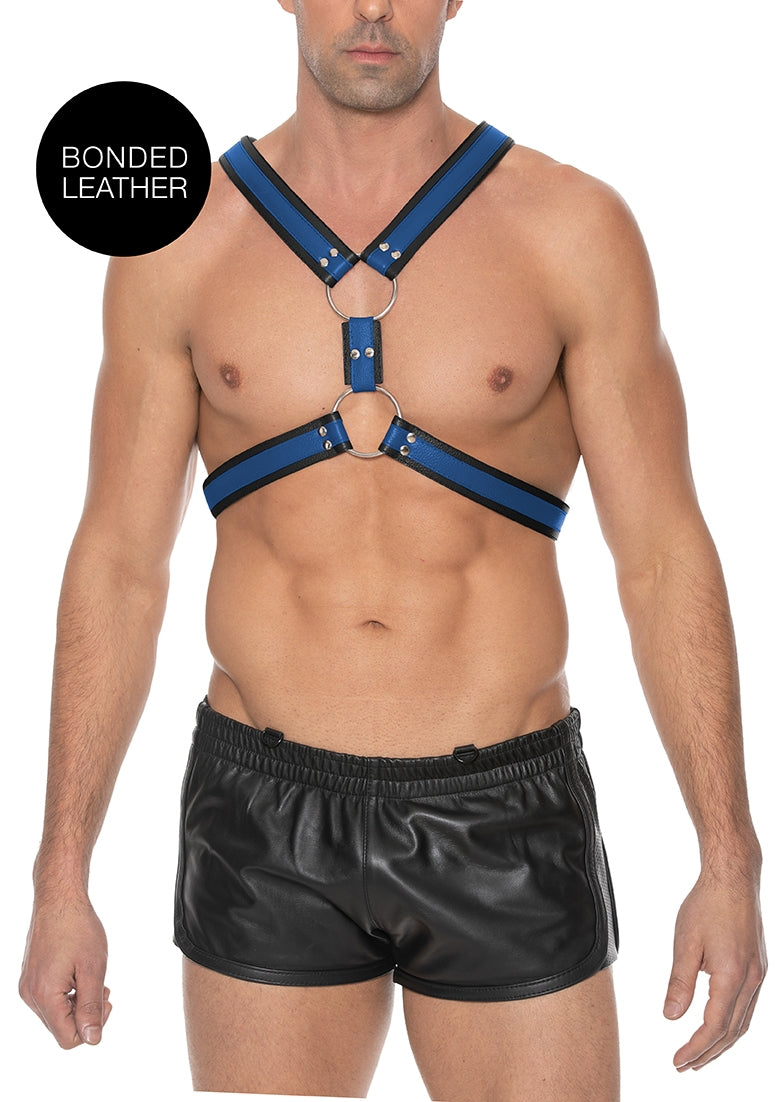 Scottish Harness - S/M - Blue - S/M