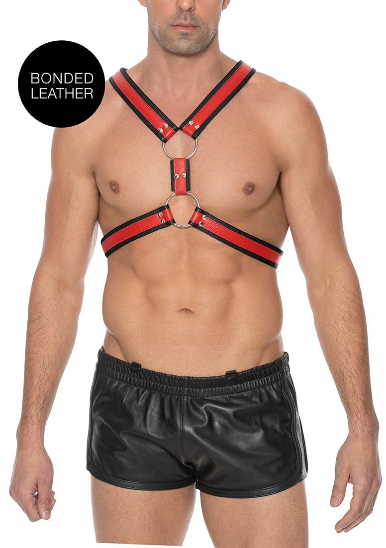 Scottish Harness - L/XL - Red - L/XL