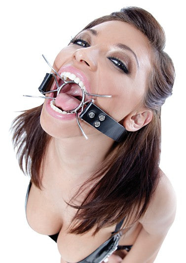 FFE Spider Gag Silver/Black