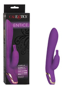 Entice&#174; Isabella&#8482; - Framboos