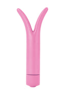 The Champion Pink