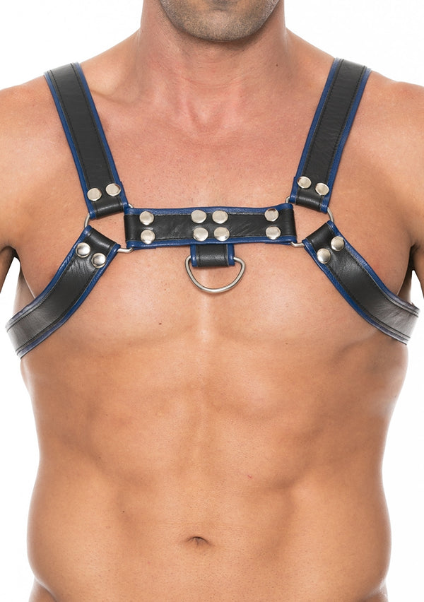 Chest Bulldog Harness - Premium Leather - Black/Blue - L/LX - L/XL