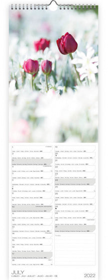 wandkalender 2022 Tulips 49 x 16 cm papier
