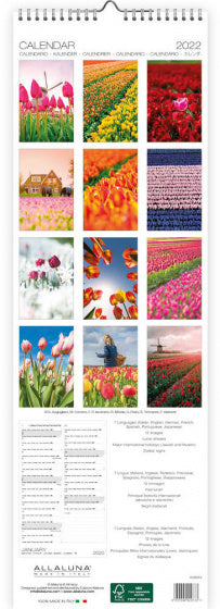 wandkalender 2022 Tulips 49 x 16 cm papier