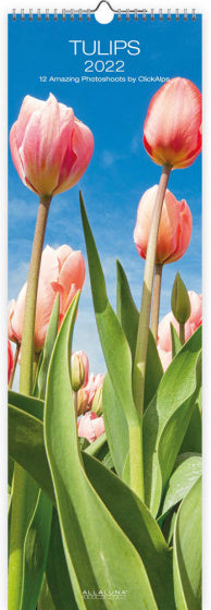 wandkalender 2022 Tulips 49 x 16 cm papier