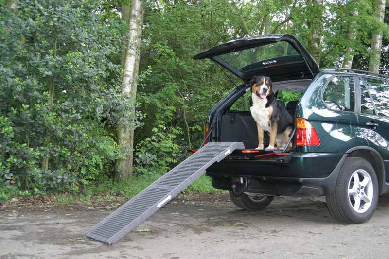 PETSTEP DOGSTEP ANTRACIET 180X45X6 CM
