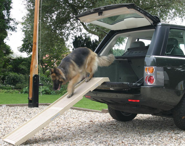 ZZZ PETSTEP DOGSTEP BEIGE 180X45X6 CM