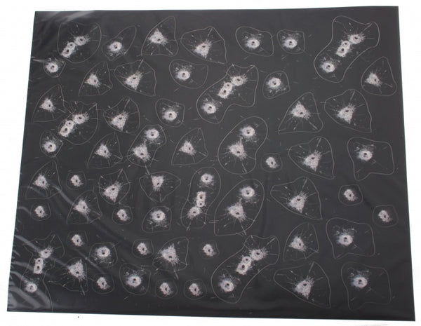 stickervel zwart/wit 53-delig