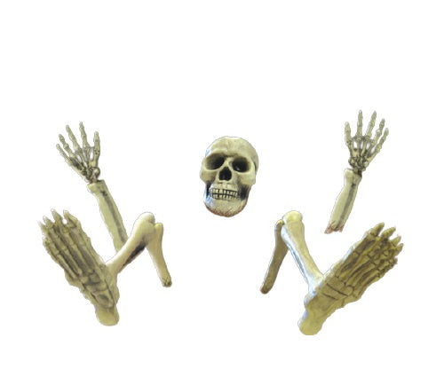 Halloween decoratie skelet 18 - 32 cm wit 10-delig