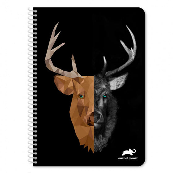 notitieboek Spiral eland 25 x 17 cm 120 pagina's