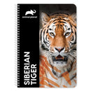 notitieboek Tijger 21 x 30 cm 90 pagina's