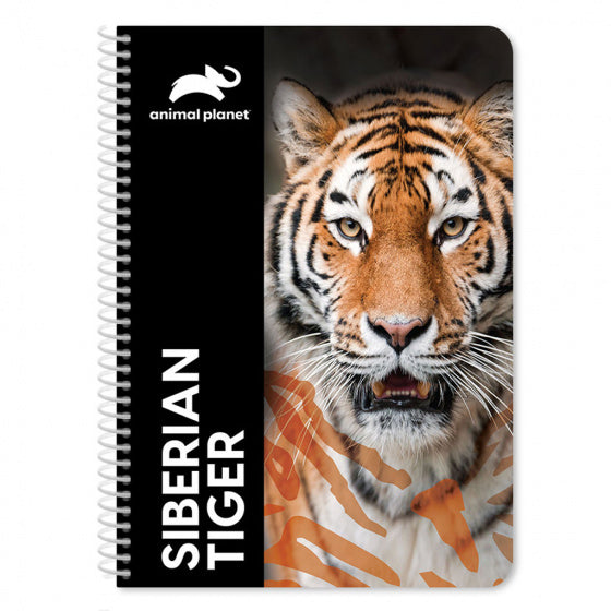notitieboek Tijger 21 x 30 cm 60 pagina's