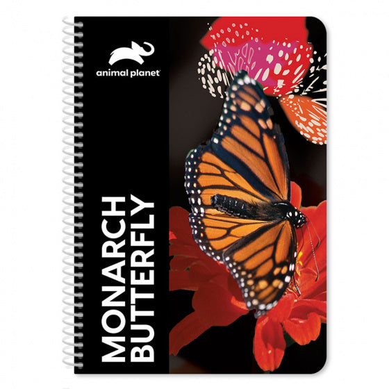 notitieboek Vlinder 17 x 25 cm 60 pagina's