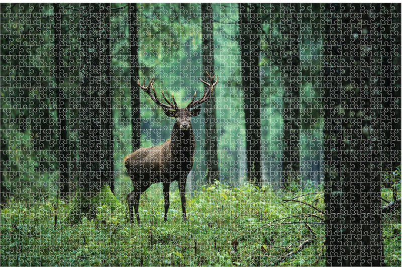 puzzel Animal Planet Deer 73 x 48 cm karton 1000 stukjes