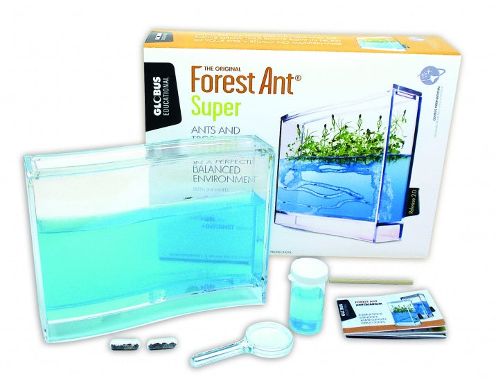 Super Mieren Antquarium