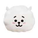kussen BT21 RJ junior 32 cm pluche wit