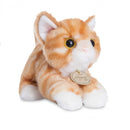 knuffelkat MiYoni junior 20 cm pluche oranje/wit