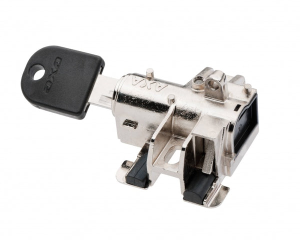 Accuslot Axa Bosch 2 voor frame