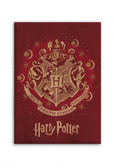 fleecedeken Harry Potter 140 x 110 cm