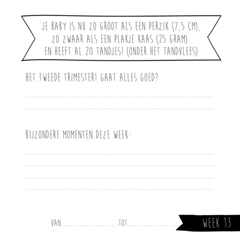 Mijn negen maanden invulboek MINT