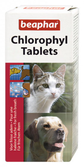 BEAPHAR CHLOROPHYL TABLETTEN 30 ST