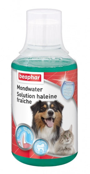 Beaphar Mondwater 250 ML