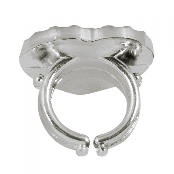 prinsessenset zilver/roze 4-delig