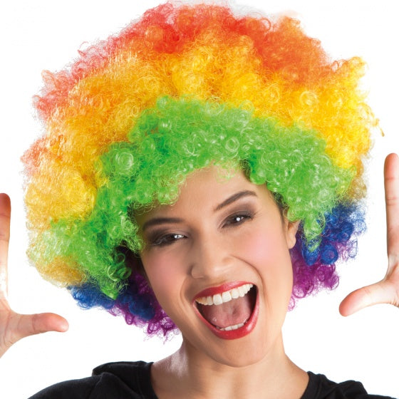 Pruik Afro Veelkleurig Volwassen