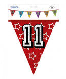 Vlaggenlijn - 11 jaar, 8mtr.