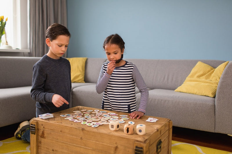BS Toys Houten Spel Vind de Vis