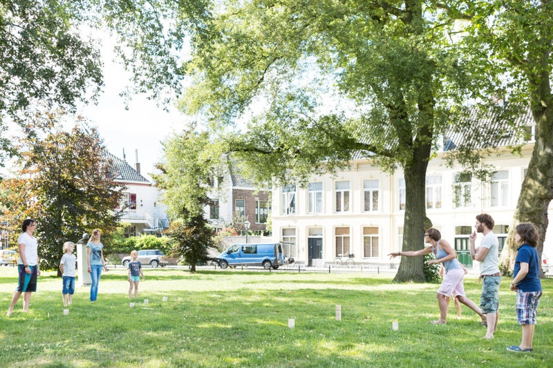 Kubb vurenhout 21-delig