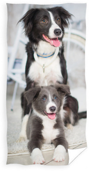 strandlaken Dogs 70 x 140 cm katoen zwart/grijs/wit
