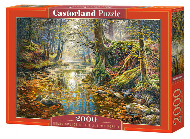 legpuzzel Reminiscence of the Forest 2000 stukjes