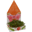 tuinkersbakje huis junior 20 cm karton wit 6 sets