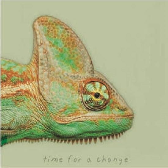 canvas schilderij 20 x 20 x 4 cm Chameleon