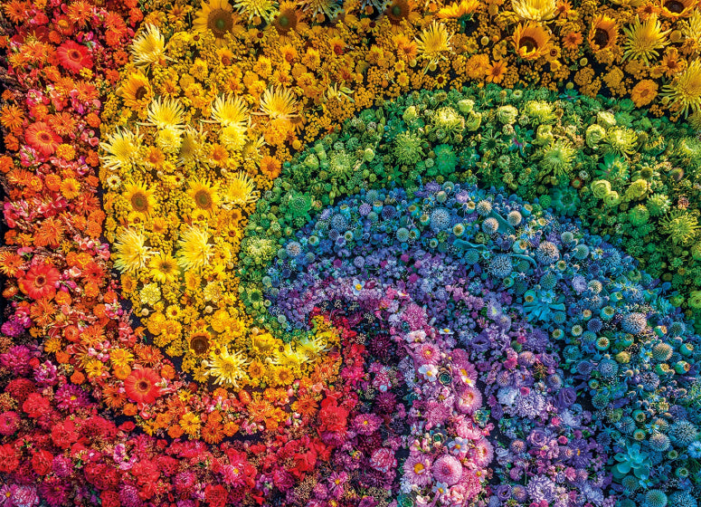 legpuzzel Colorboom Whirl karton 1000 stukjes